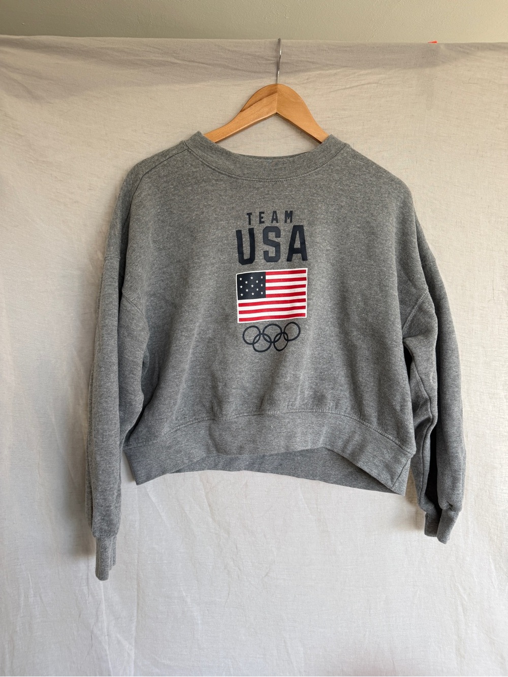 Team USA Gray Olympics Cropped Sweatshirt